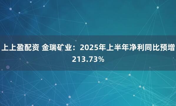 上上盈配资 金瑞矿业：2025年上半年净利同比预增213.73%