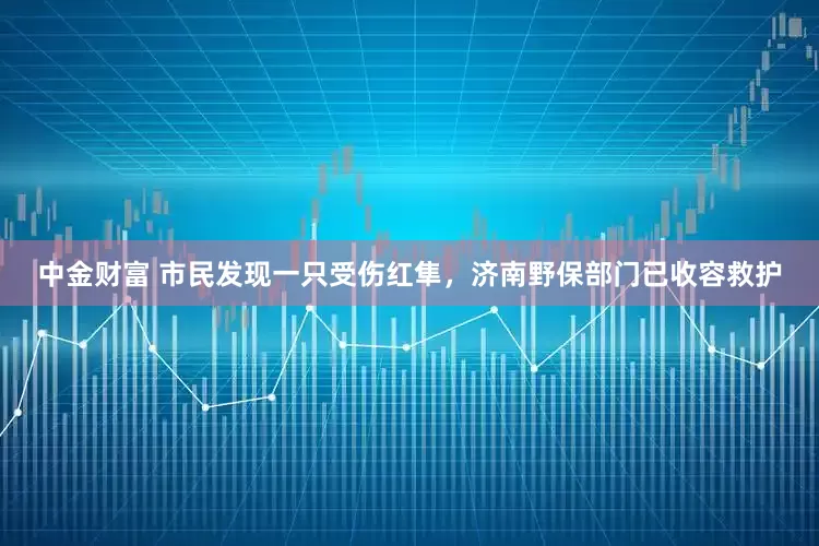 中金财富 市民发现一只受伤红隼，济南野保部门已收容救护