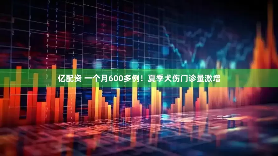 亿配资 一个月600多例！夏季犬伤门诊量激增