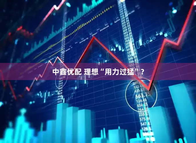 中鑫优配 理想“用力过猛”?