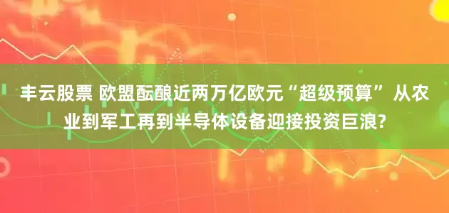 丰云股票 欧盟酝酿近两万亿欧元“超级预算” 从农业到军工再到半导体设备迎接投资巨浪?