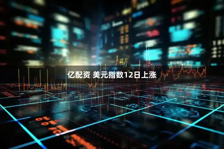 亿配资 美元指数12日上涨