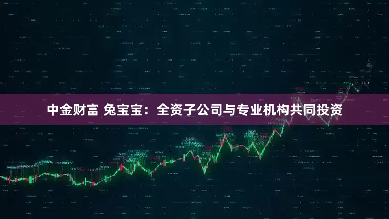 中金财富 兔宝宝：全资子公司与专业机构共同投资